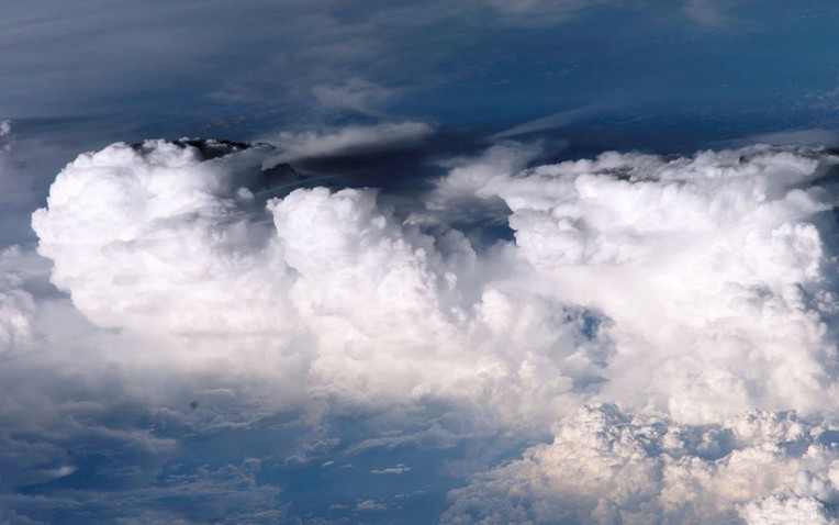 "Không ai biết vì sao điều này lại xảy ra": Các nhà khoa học toàn cầu chạy đua để giải mã 1 hiện tượng lạ- Ảnh 1.