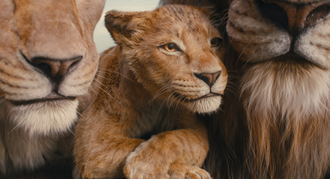 Đạo diễn đoạt giải Oscar từng dự định từ chối "Mufasa: Vua sư tử" dù chưa đọc kịch bản- Ảnh 5.