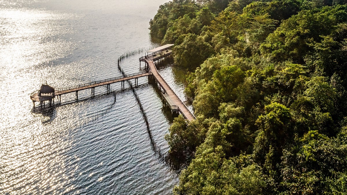 Ngắm nh&igrave;n Singapore qua lăng k&iacute;nh tĩnh lặng - Ảnh 1.