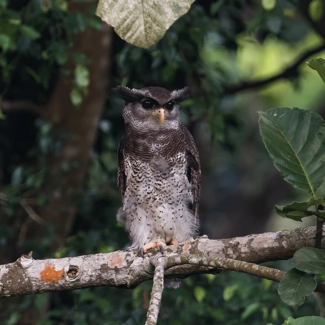 Ngắm nh&igrave;n Singapore qua lăng k&iacute;nh tĩnh lặng - Ảnh 2.