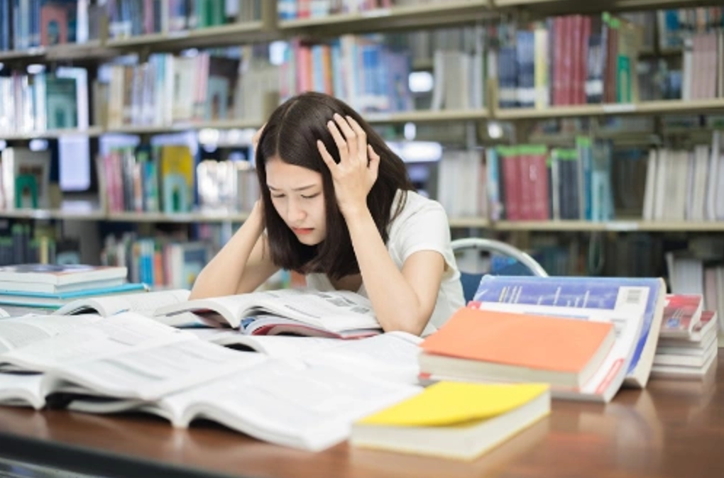 Kh&ocirc;ng giỏi ngoại ngữ vẫn học được tiếng Nhật/Trung nhờ đ&uacute;ng lộ tr&igrave;nh- Ảnh 1.