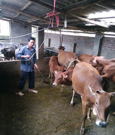 Văn Chấn: Những tín hiệu vui khi đưa cán bộ huyện về cơ sở- Ảnh 2.