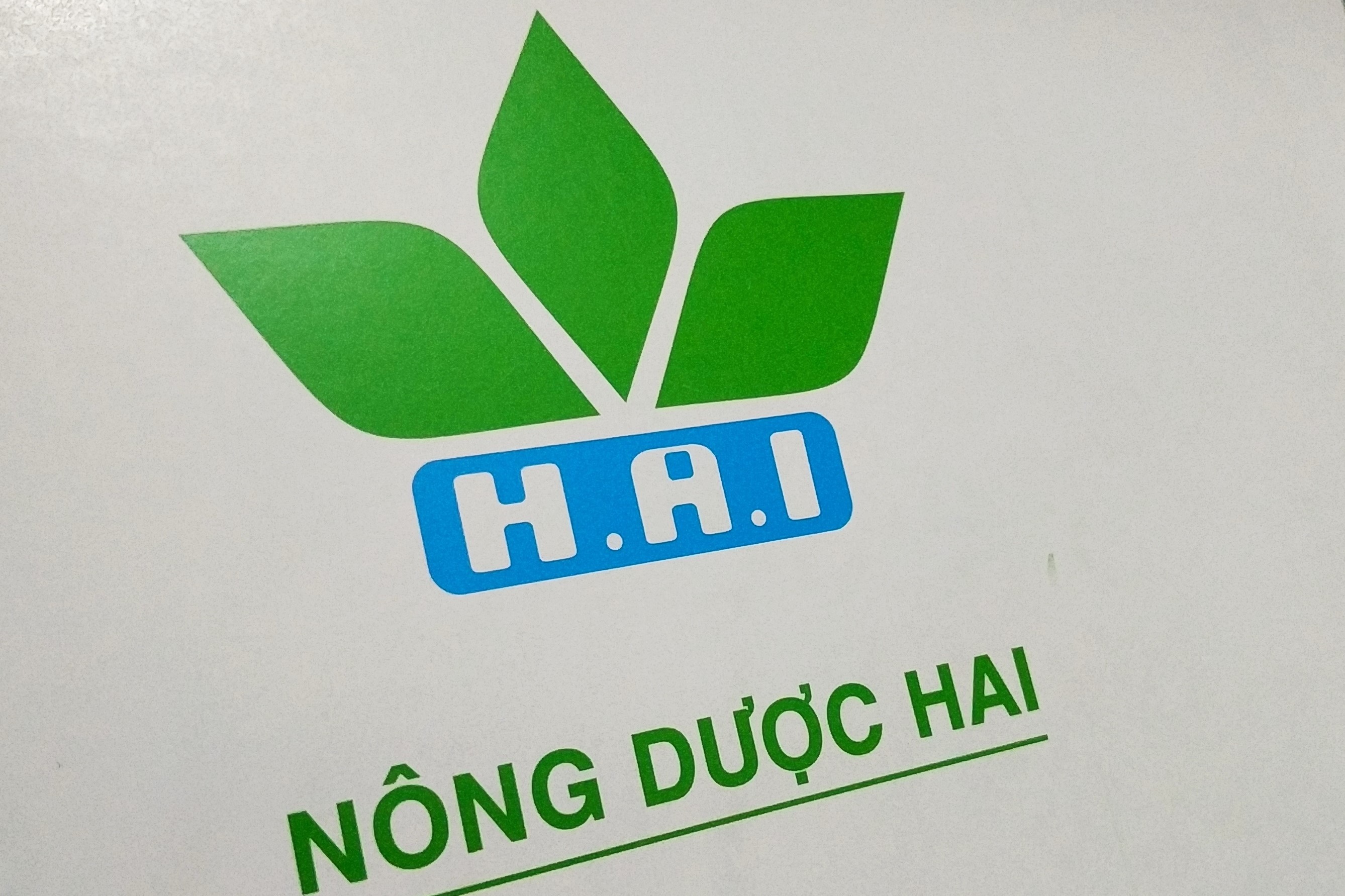 hai-self-4-15881762049162037629543-1658482211.jpg