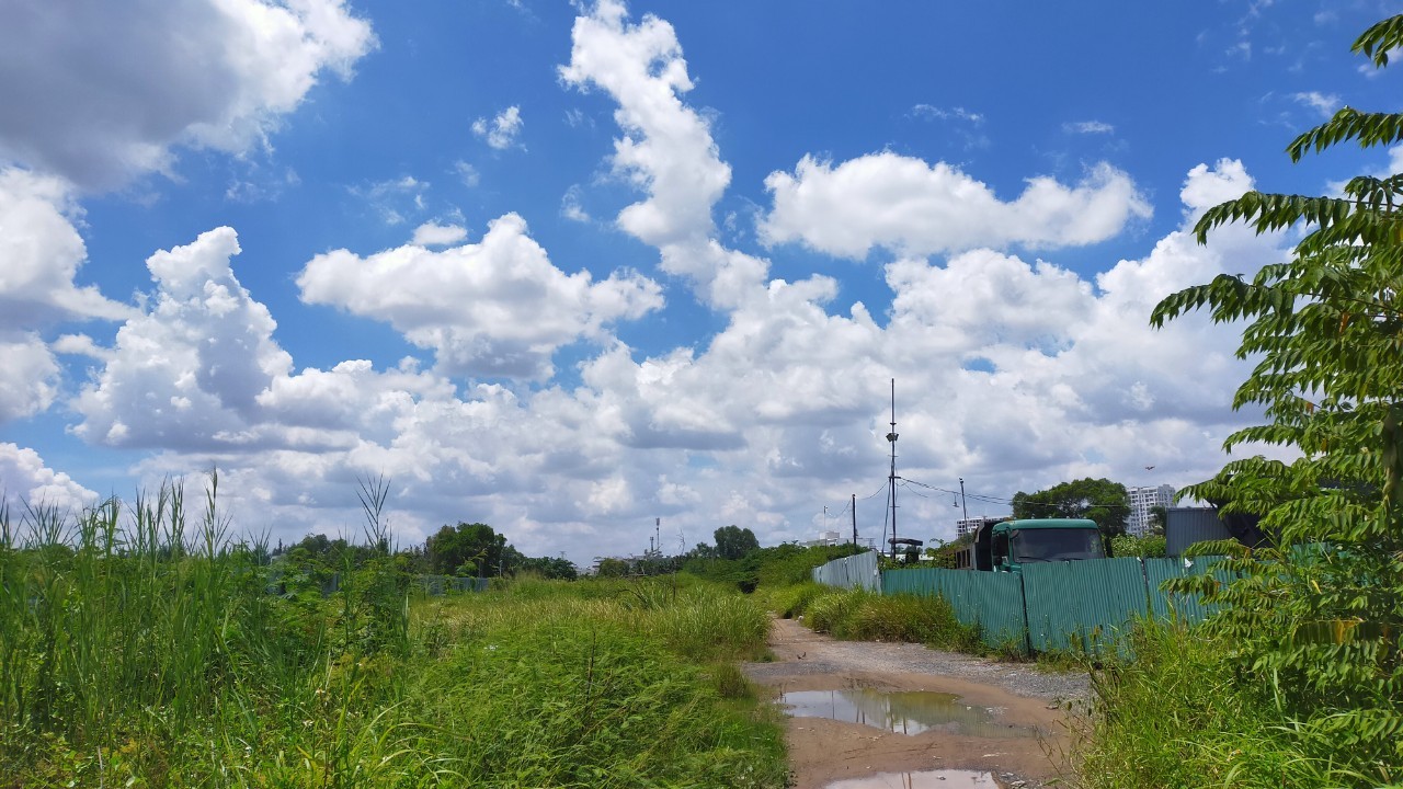 cay-1660834839.jpg