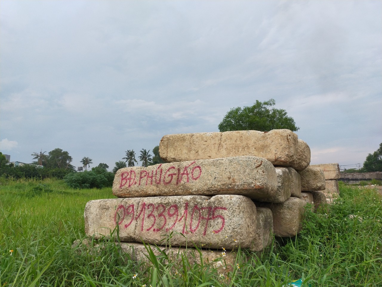 cot-sat-1660832823.jpg