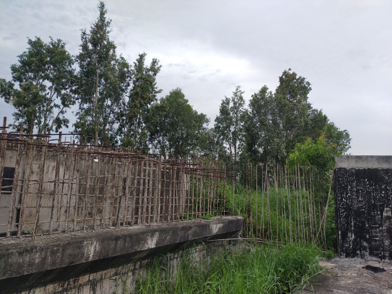 thanh-sat-1660832825.jpg