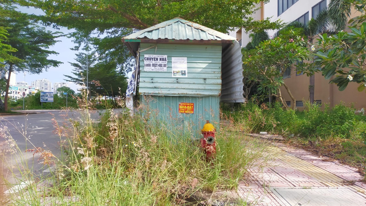 lan-chua-go-1661313903.jpg