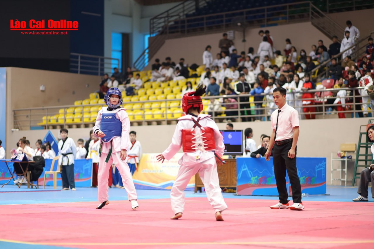 Giải Taekwondo các lứa tuổi trẻ tỉnh Lào Cai 2025: Sân chơi võ thuật hấp dẫn- Ảnh 2.