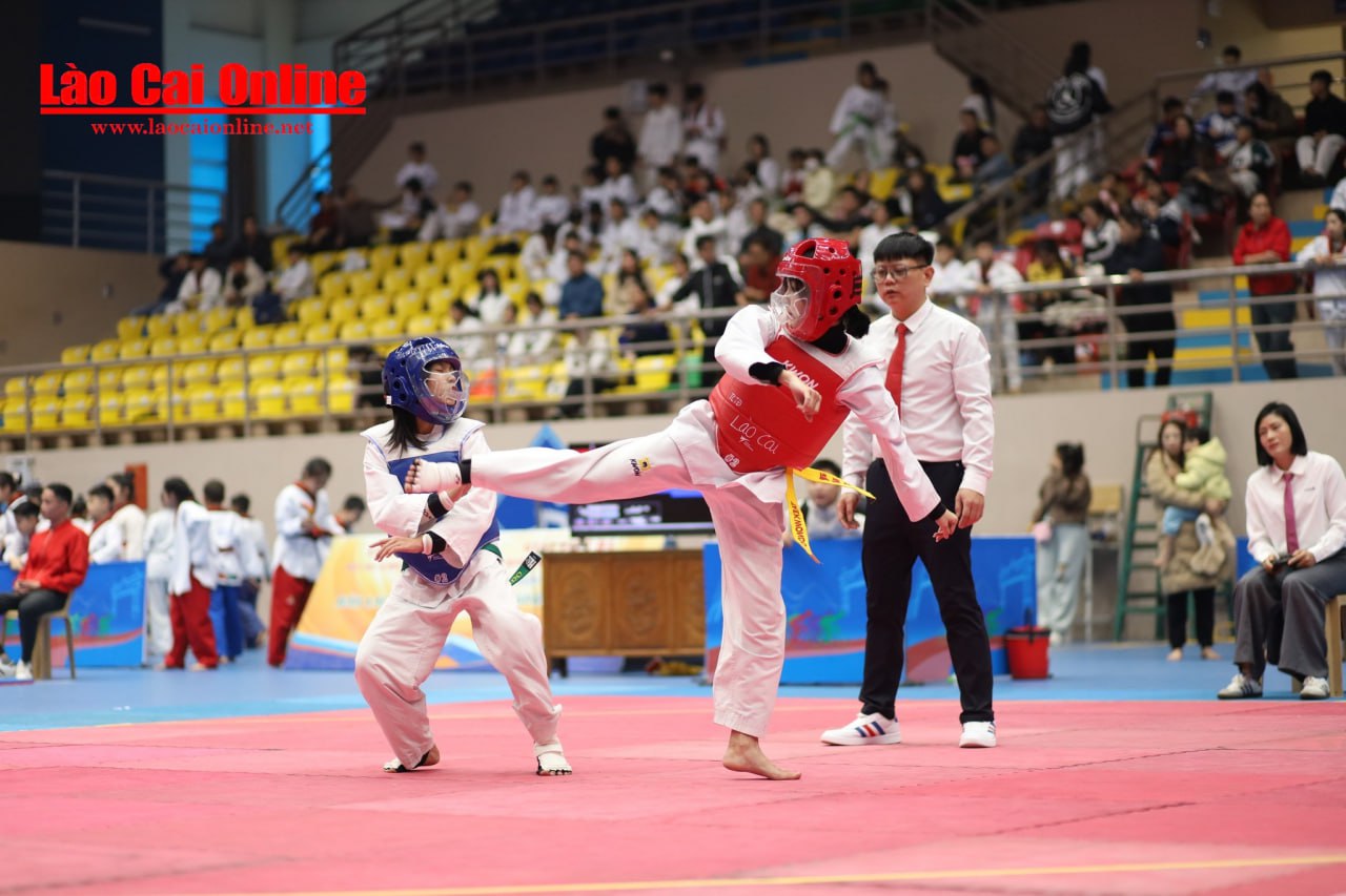 Giải Taekwondo các lứa tuổi trẻ tình lào cai 2025