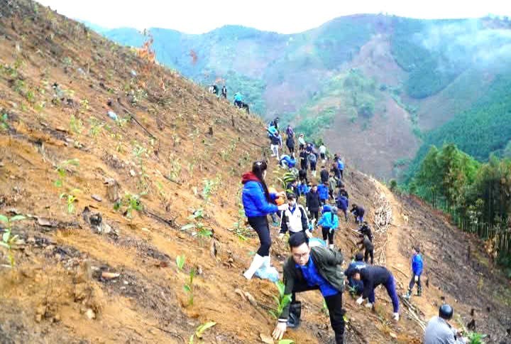 Lào Cai phấn đấu mở rộng 5.000 ha quế đạt tiêu chuẩn hữu cơ vào năm 2025- Ảnh 2. Các đoàn thể xã Nậm Lúc, huyện Bắc Hà cùng nông dân ra quân trồng quế (Ảnh Báo Lào Cai)