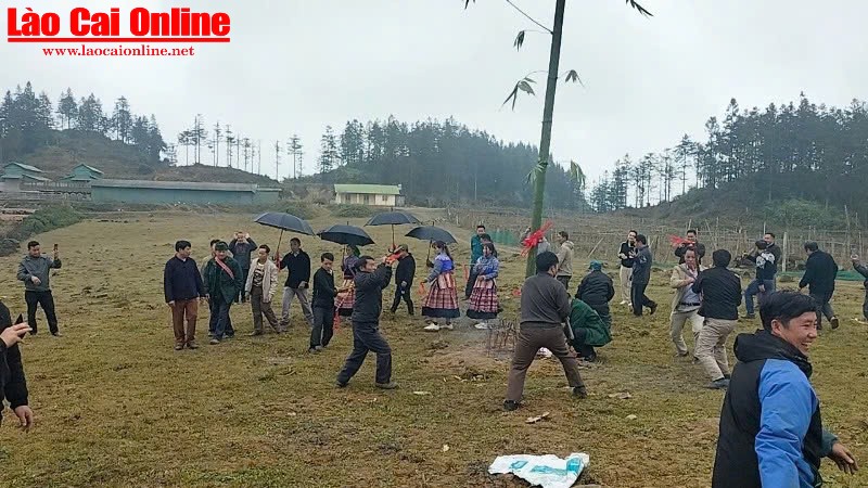 Không khí lễ hội tưng bừng trên cao nguyên trắng Bắc Hà- Ảnh 1. Nghi lễ dựng cây Nêu trong lễ hội Gầu Tào, tại thôn Tả Chải, xã Lùng Phình, huyện Bắc Hà.