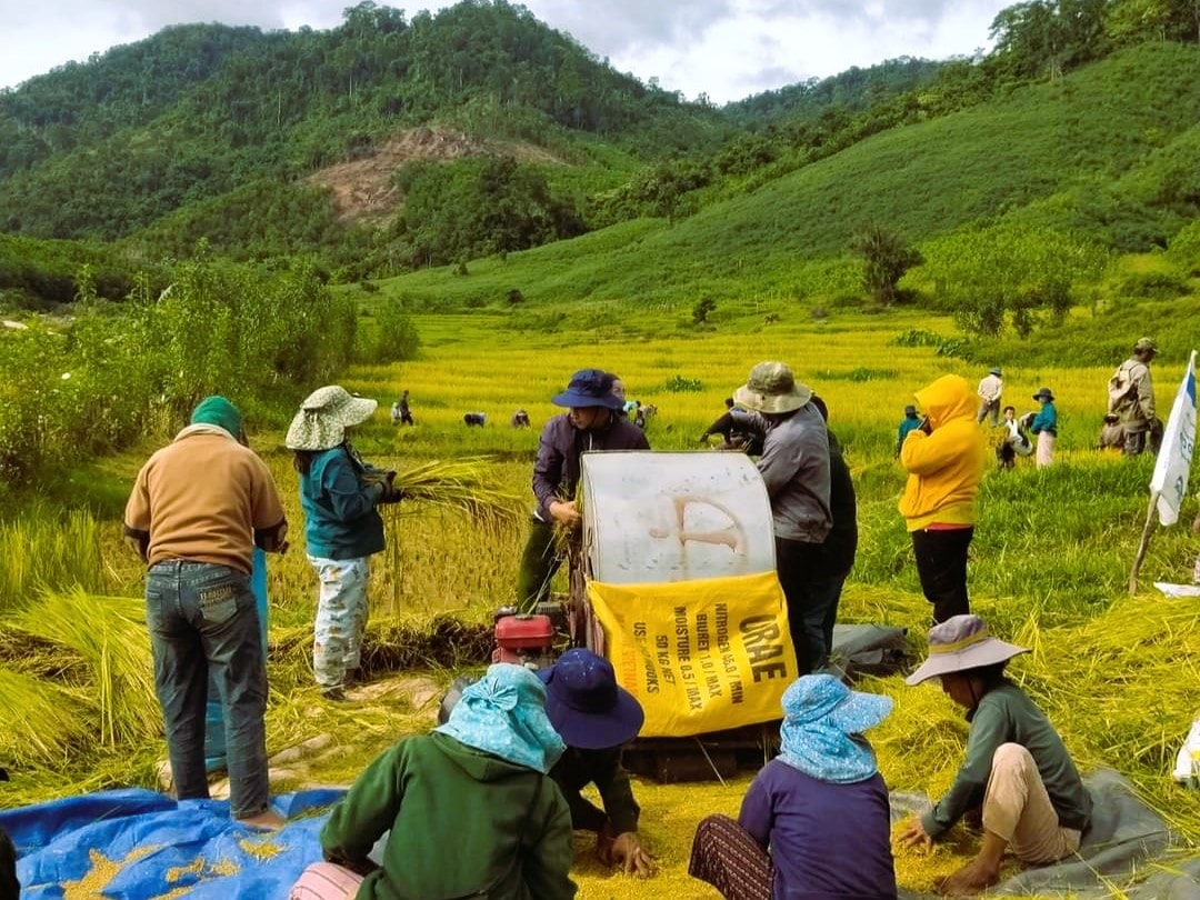 Các mô hình kinh tế tập thể, HTX đóng vai trò quan trọng trong công tác giảm nghèo ở Quảng Nam (Ảnh minh họa). (Ảnh Báo Dân Tộc)