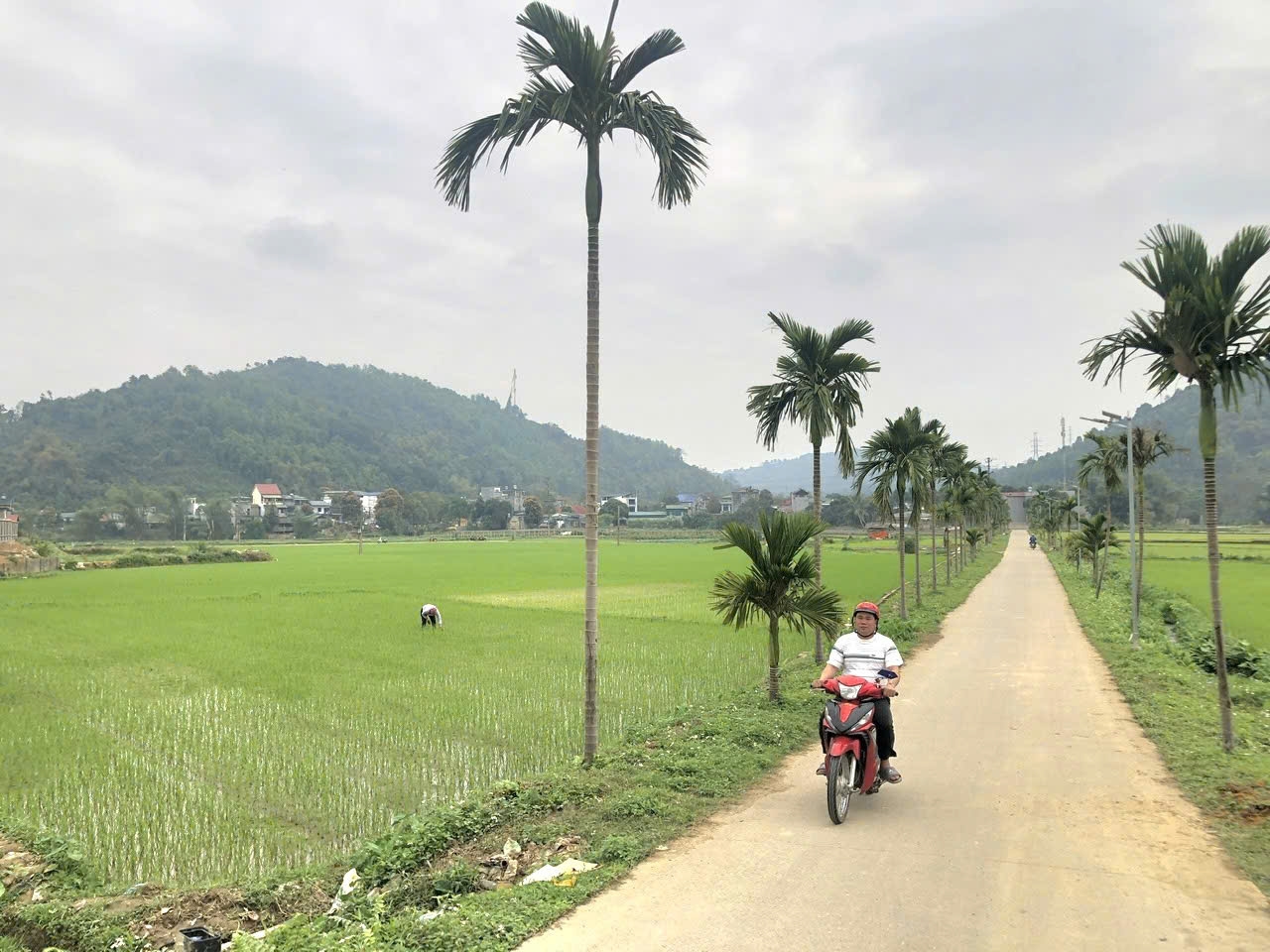 Đồng bào Công giáo ở Quang Kim chung tay xây dựng bản làng ngày một phát triển. (Ảnh Báo Dân Tộc)
