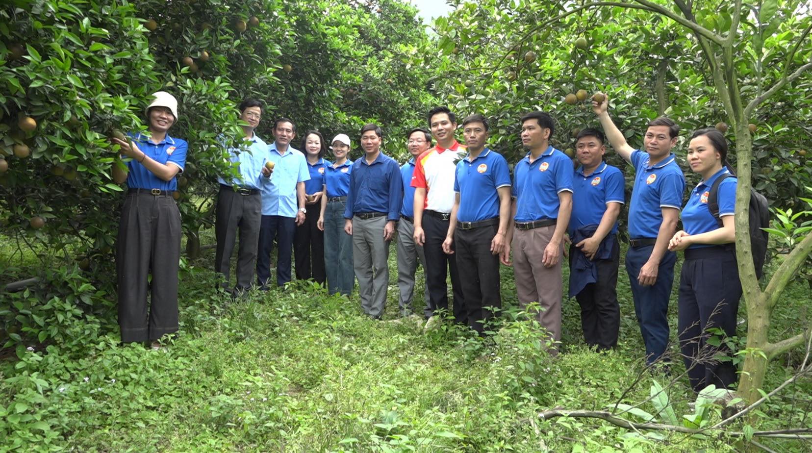 Hoạt động trồng cây tại thôn Làng Nủ không chỉ mang lại giá trị về mặt cảnh quan mà còn là bước đi quan trọng trong việc phục hồi và phát triển bền vững sau thiên tai. (Ảnh Truyền Hình Bảo Yên)