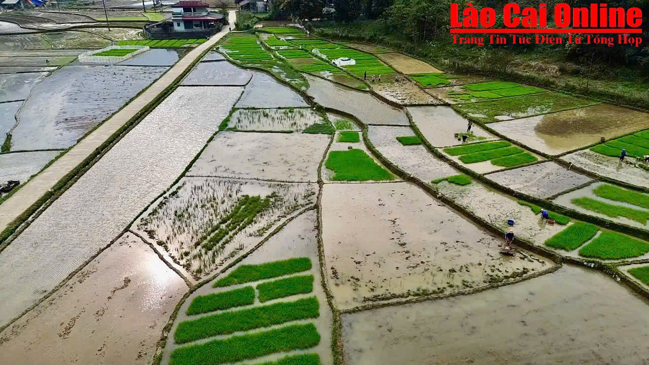 Nông dân thôn Chang, xã Thống Nhất khẩn trương xuống đồng sản xuất vụ Xuân- Ảnh 1. Bà con nông dân thông chang xã thống nhất bước vào vụ Xuân 2025