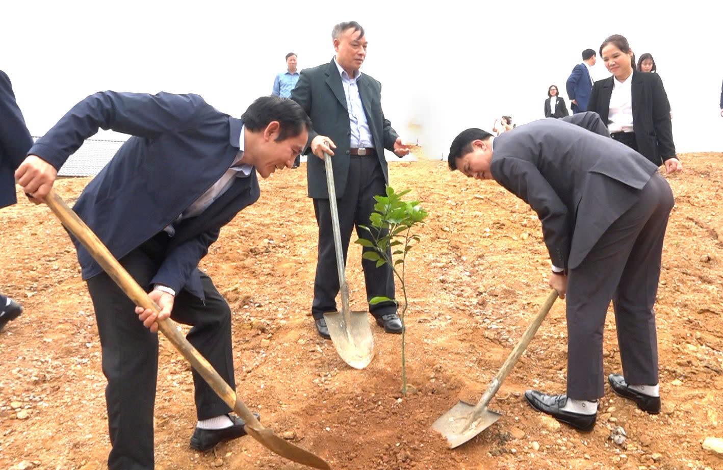 Những cây bưởi đặc sản do huyện Đoan Hùng mang đến được trồng tại thôn như biểu tượng cho tình hữu nghị và sự kết nối bền chặt giữa hai vùng đất. (Ảnh Truyền Hình Bảo Yên)