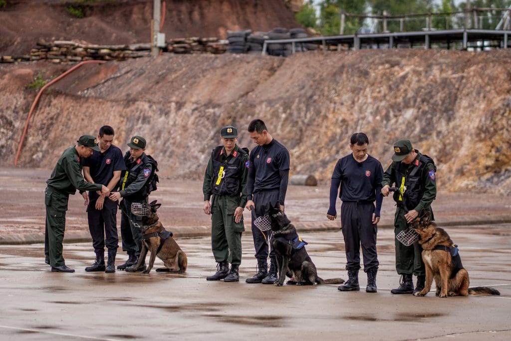 "Chiến sĩ quả cảm" tập 10: Binz thích thú khi gặp gỡ những “đồng đội 4 chân”, MONO - Hưng Nguyễn nghẹn ngào trong ngày chia tay- Ảnh 4.