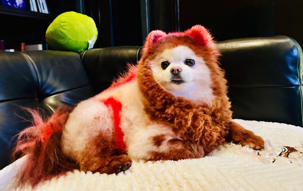 H&agrave; Phương chia sẻ b&iacute; quyết hạnh ph&uacute;c từ bố mẹ chồng trong lễ kỷ niệm 60 năm ng&agrave;y cưới- Ảnh 3.