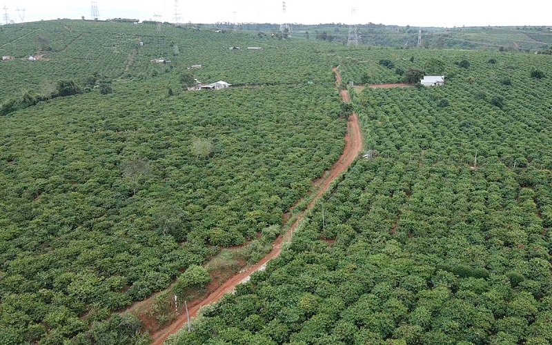 Đất thuộc diện có thể chuyển đổi thành thổ cư sẽ mang lại nguồn lợi cao