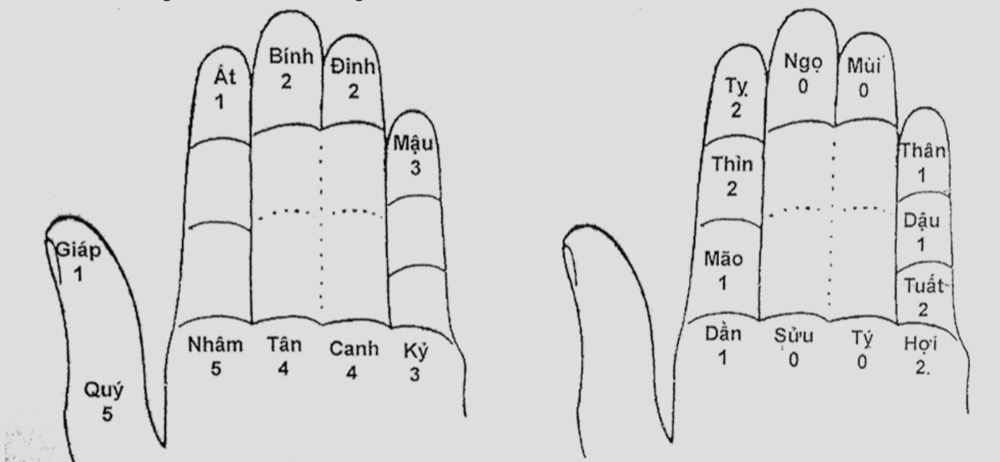 Vị trí Can và Chi trên bàn tay trái