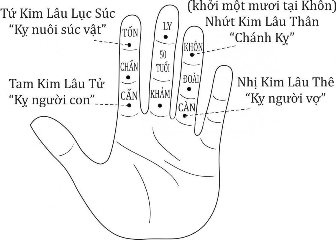 Cách tính Kim Lâu qua các đốt trên ngón tay