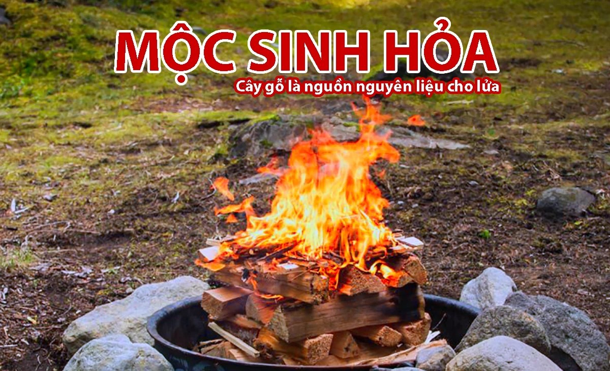 Nếu không có Mộc thì Hỏa sẽ không thể nào phát triển bền vững