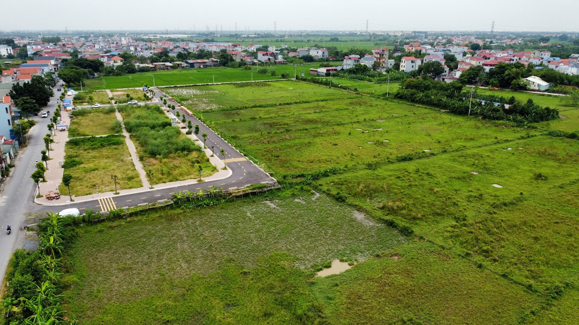 Đấu Giá Đất: Giải Pháp Nào Ngăn Chặn Bỏ Cọc?- Ảnh 2.