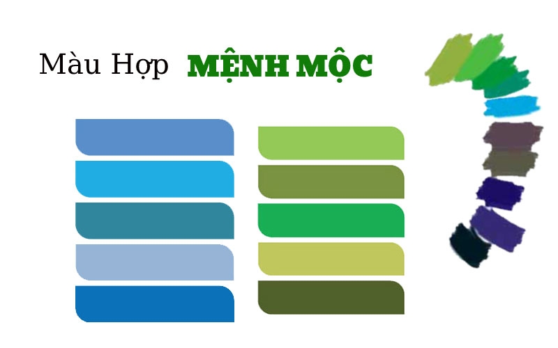 Mệnh mộc hợp màu gì?