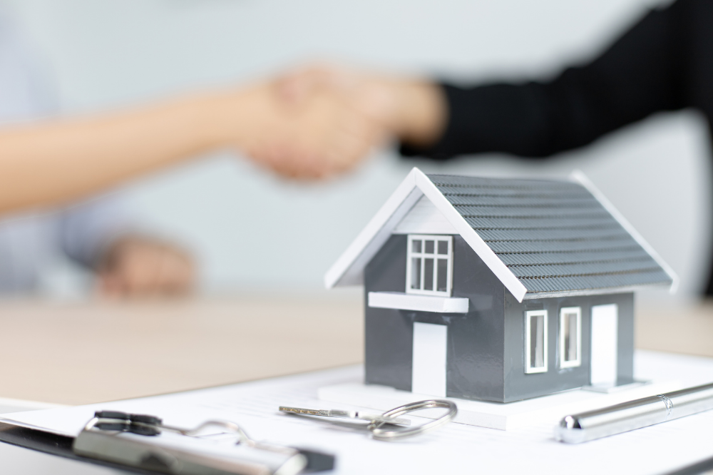 Thừa kế thế vị là một chế định đặc biệt trong pháp luật thừa kế