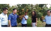 Sơn La lấy nông nghiệp hàng hóa công nghệ cao, công nghiệp chế biến nông sản là trung tâm, gắn với du lịch sinh thái, văn hóa để phát triển nhanh và bền vững