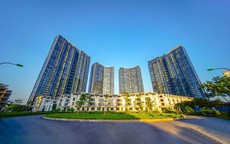 SMDS báo cáo Sunshine chậm hi88.com là gì toán 55,5 tỷ đồng trái phiếu đến hạn