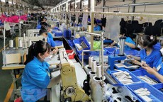 Xác nhận cho hơn 400.000 hi88 gg lao động nhận hỗ trợ thuê nhà