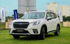 Giá xe Subaru Forester giảm về khởi điểm 819 triệu đồng, tăng sức ép lên đối thủ đồng hương CR-V