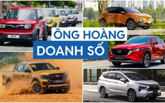 Những "ông hoàng" thống lĩnh doanh số từng phân khúc giá tại Việt Nam