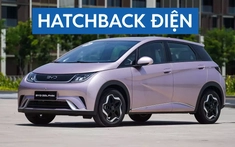 Thông số kỹ thuật BYD Dolphin 2025: Hatchback điện đáng chú ý trong phân khúc cỡ B