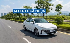 Doanh số sedan cỡ B tháng 2/2026: Vios vững ngôi vương, Accent ngày càng xa nhóm dẫn đầu