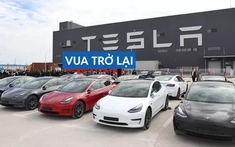 Tesla lấy lại ngôi vua xe điện toàn cầu sau cú trượt dài của đối thủ BYD