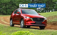 Mazda CX-5 bị đả bại bởi các tân binh