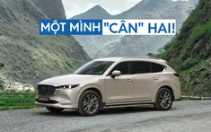 Doanh số SUV hạng D tháng 3/2026: Mazda CX-8 bán vượt Santa Fe, Sorento cộng lại