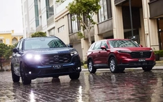 Doanh số SUV cỡ C tháng 9/2024: Honda CR-V tăng trưởng đột phá nhờ giảm giá niêm yết