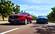 Loạt xe Honda được ưu đãi 50% lệ phí trước bạ, CR-V chỉ còn hơn 900 triệu đồng
