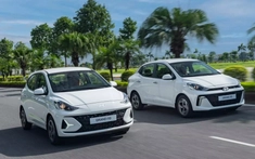 hi88 hi880 xăng hạng A cỡ nhỏ ngày càng thất thế, vì đâu nên nỗi?