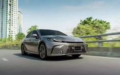 Doanh số sedan hạng D tháng 4/2025: Toyota Camry tăng trưởng mạnh mẽ