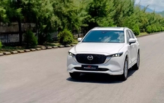 nhà cái hi88 số SUV cỡ C tháng 6/2025: Mazda CX-5 lấy lại phong độ, giành "ngôi vương" của Ford Territory