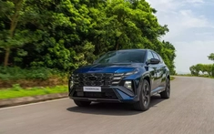 Doanh số SUV cỡ C tháng 7/2025: Ford Territory và Hyundai Tucson cùng nhau đi xuống