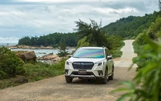 Giá Subaru Forester trong tháng 9/2025 tiếp tục giảm xuống dưới 800 triệu đồng