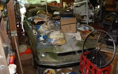 Phát hiện "rắn hổ mang" Shelby GT500 1967 bị bỏ quên trong nhà kho hơn 38 năm