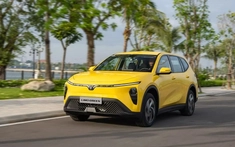 Limo Green bán gần 10.000 xe trong tháng 11/2025, giúp VinFast lại phá kỷ lục doanh số