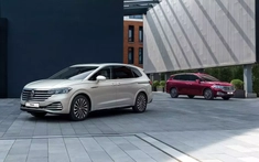 Không phải Mercedes hay BMW, Volkswagen mới là thương hiệu xe Đức bán chạy nhất Việt Nam năm 2025