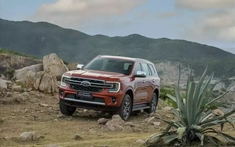 Doanh số SUV hạng D tháng 1/2026: Ford Everest vẫn bất khả chiến bại